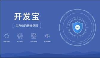 碼市開發寶 構建云端軟件開發生態閉環，引領軟件開發新范式